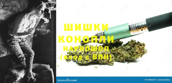 прущие грибы Абаза