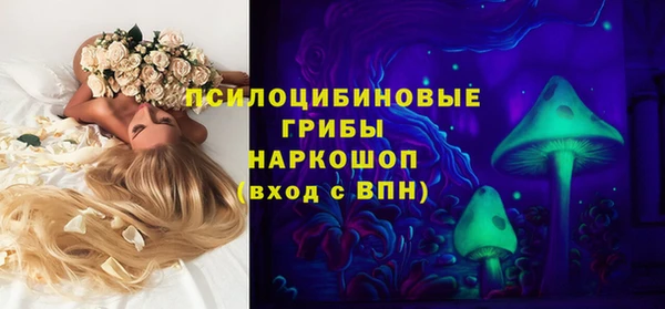 прущие грибы Абаза