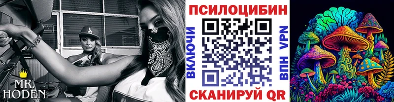 Галлюциногенные грибы Psilocybe  где найти   Искитим 